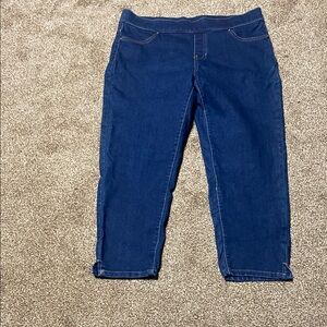 The Pioneer Woman Deep Blue Ankle Jeans